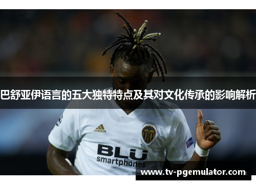 巴舒亚伊语言的五大独特特点及其对文化传承的影响解析