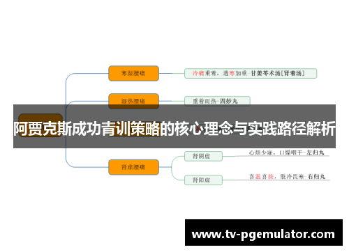 阿贾克斯成功青训策略的核心理念与实践路径解析 阿贾克斯成功青训策略的核心理念与实践路径解析