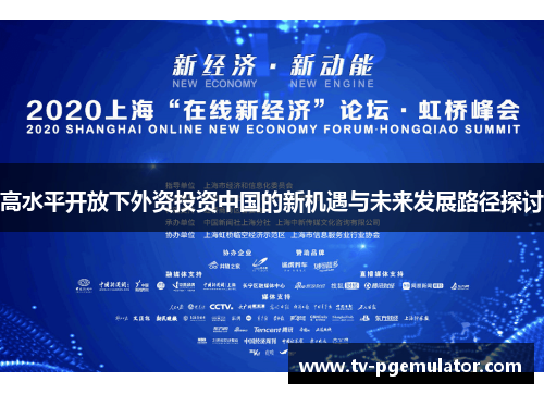 高水平开放下外资投资中国的新机遇与未来发展路径探讨 高水平开放下外资投资中国的新机遇与未来发展路径探讨
