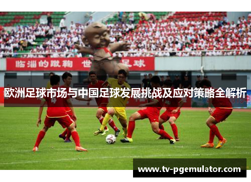 欧洲足球市场与中国足球发展挑战及应对策略全解析