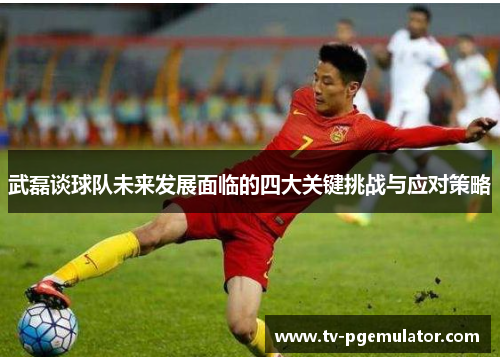 武磊谈球队未来发展面临的四大关键挑战与应对策略