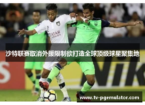沙特联赛取消外援限制欲打造全球顶级球星聚集地 沙特联赛取消外援限制欲打造全球顶级球星聚集地