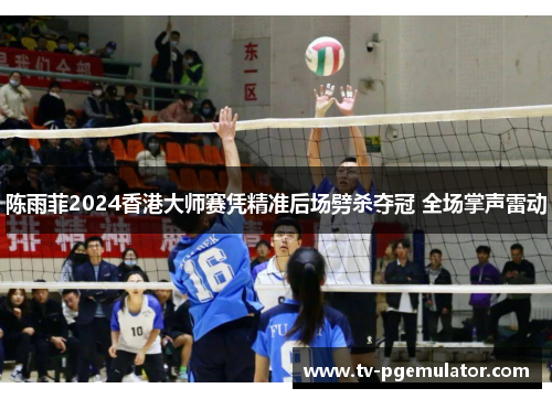 陈雨菲2024香港大师赛凭精准后场劈杀夺冠 全场掌声雷动