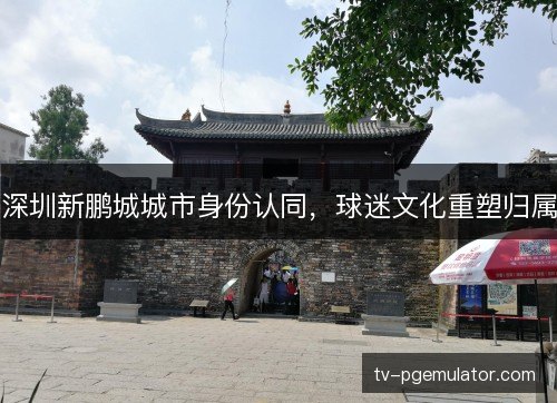 深圳新鹏城城市身份认同,球迷文化重塑归属 深圳新鹏城城市身份认同,球迷文化重塑归属