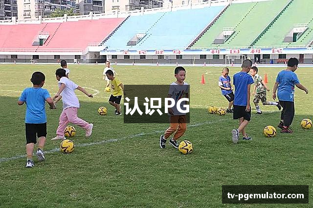 认识PG